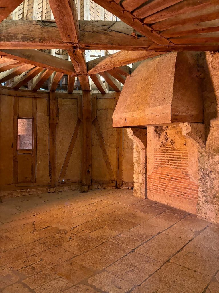 Château de Fougères-sur-Bièvre