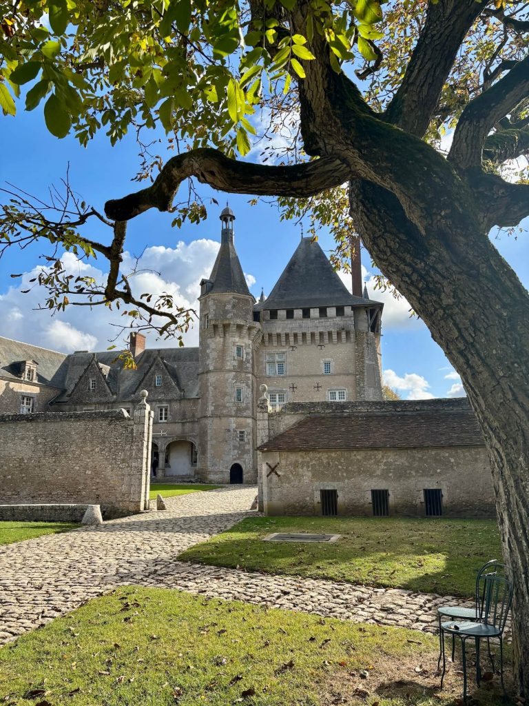 Château de Talcy