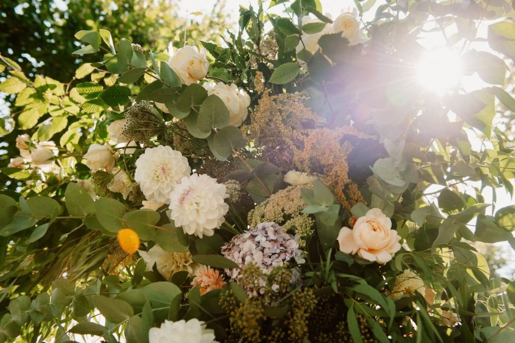 Vue des roses du château de Canon en Normandie