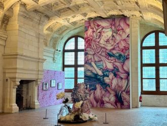 Image illustration blog