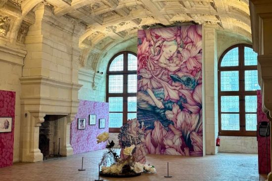 Image illustration blog