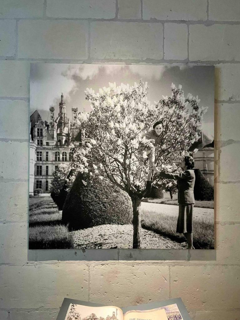 Sauver un peu de la beauté du monde