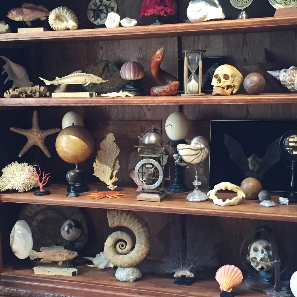 Cabinet de curiosités du Château du Clos Lucé