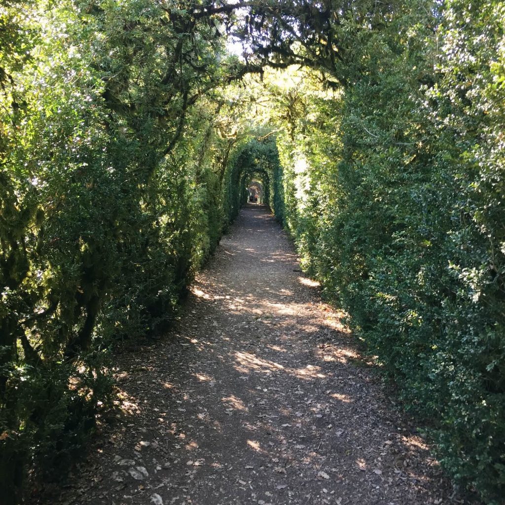 Jardins du Château de Marqueyssac