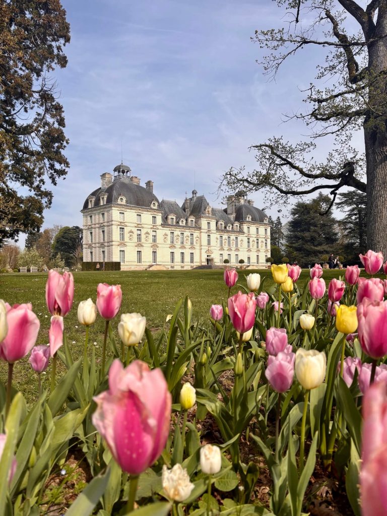 La floraison des tulipes au château de Cheverny