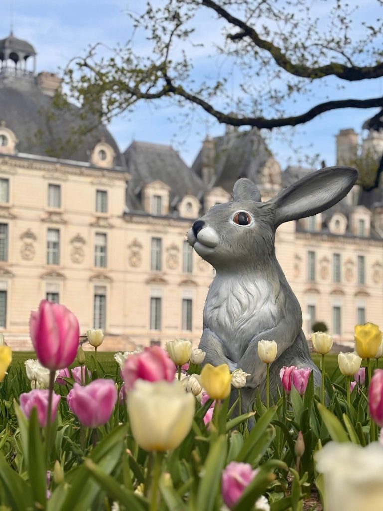 La floraison des tulipes au château de Cheverny