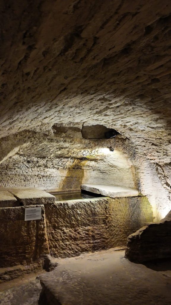Les Caves du Palais Saint-Firmin