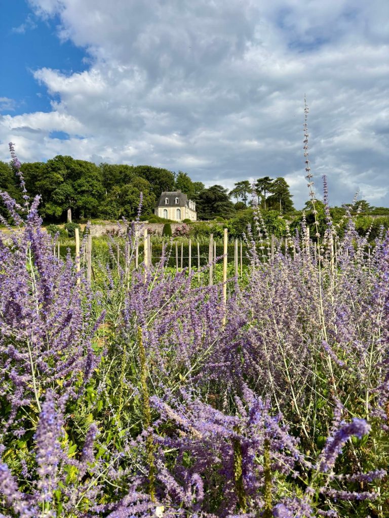 Le potager de Valmer