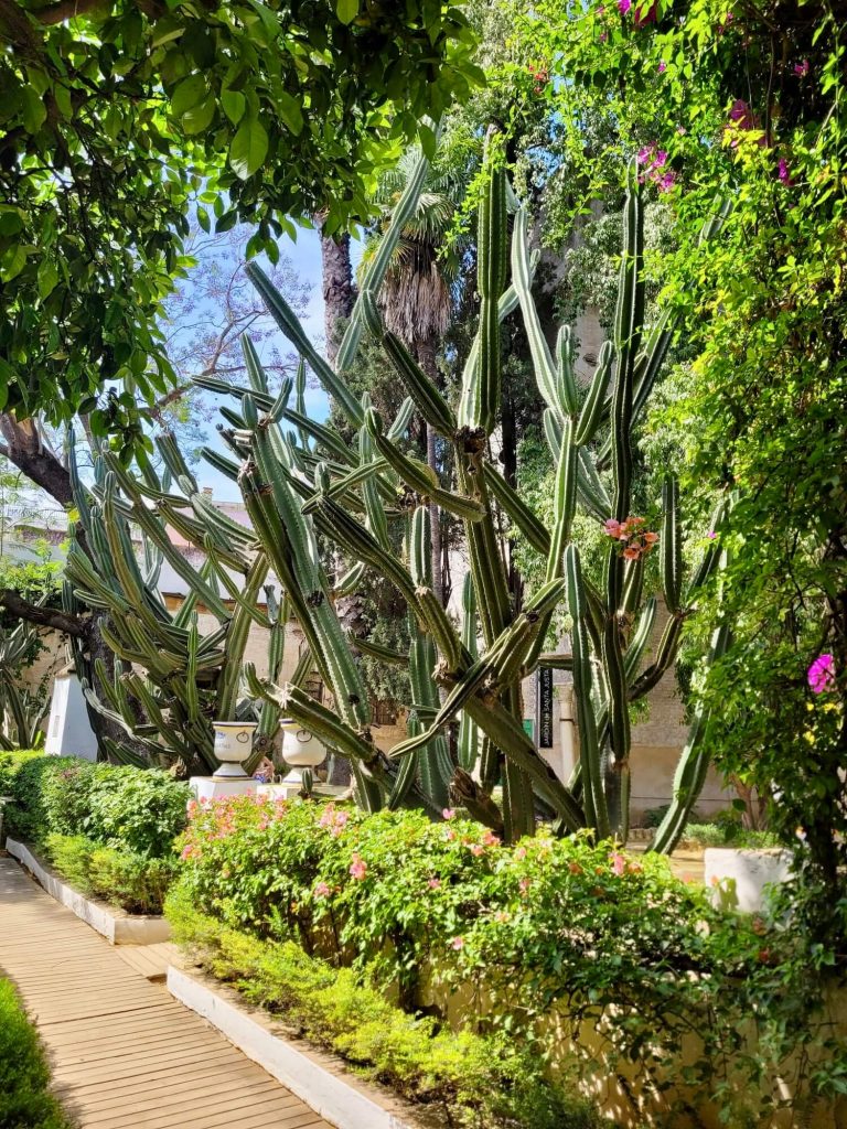 Dans les jardins du palacio