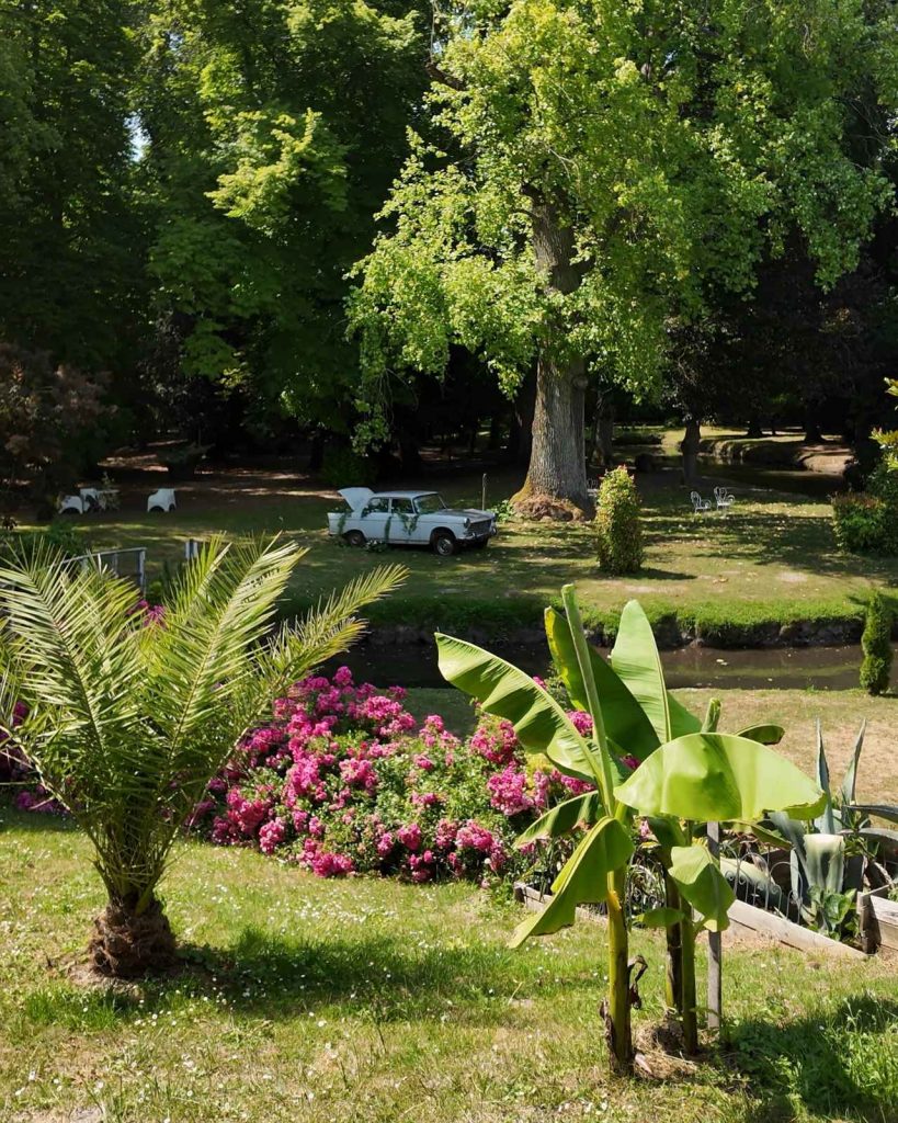 Une vieille voiture transformée en jardinière