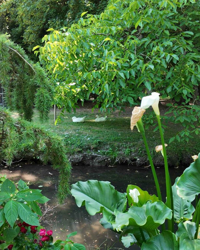 Le parc de la Folie Hubert