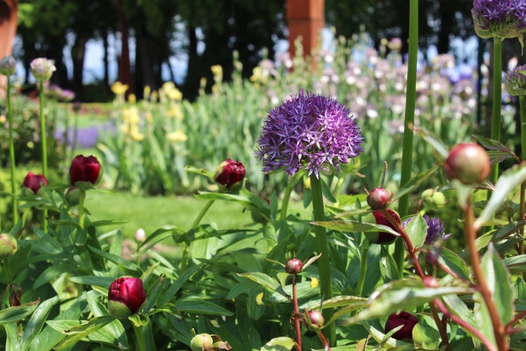 Jardins du château du Vullierens